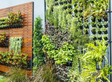 ¿Cómo hacer un jardín vertical, ideas y consejos?