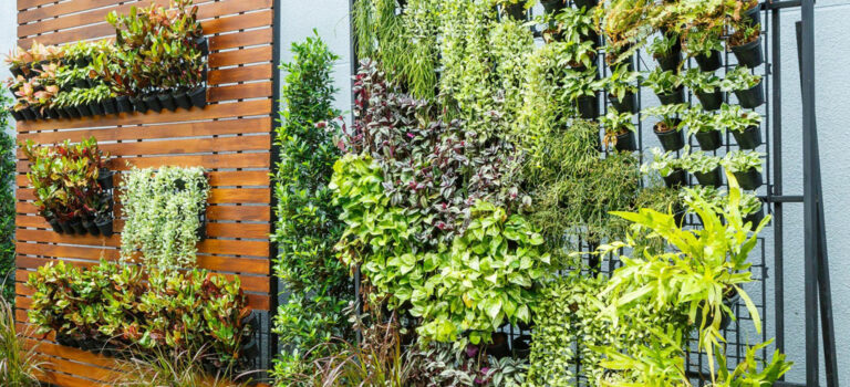 ¿Cómo hacer un jardín vertical, ideas y consejos?