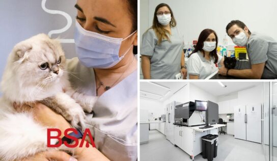 UNAVETS anuncia una asociación estratégica con el Banco de Sangre Animal portugués, BSA